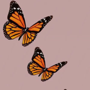 Meet your Posher, Anya